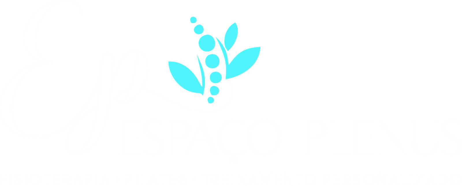 Espaço Plenus — Fisioterapia, Pilates e Treinamento Personalizado